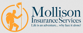 Mollison Insurance Services LLC
