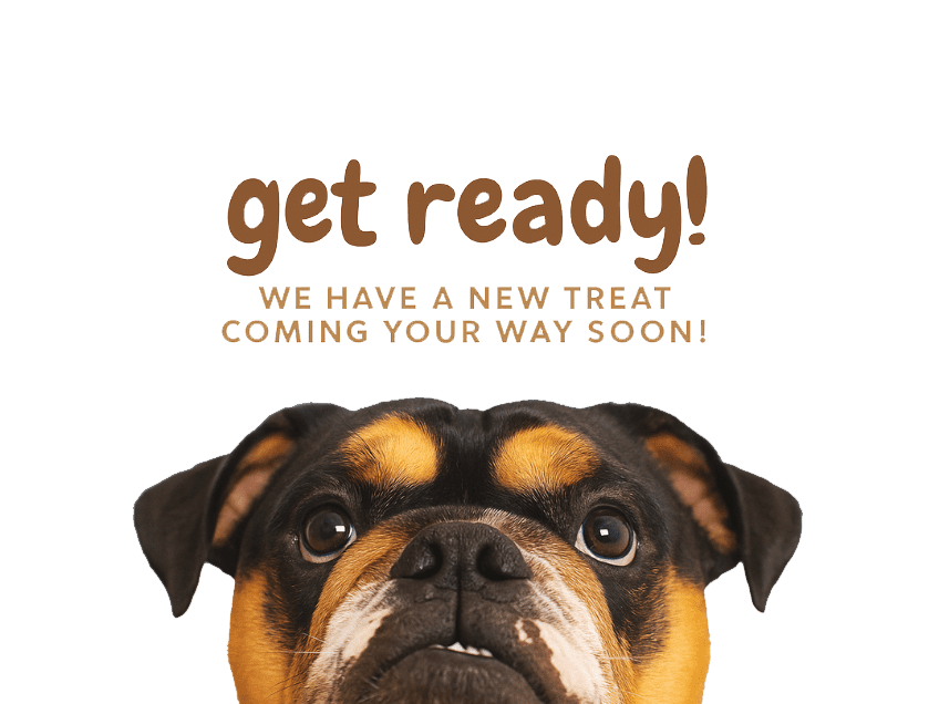 Get Ready!